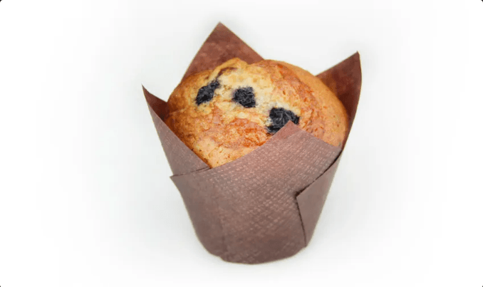 Medium Sized Blueberry muffin ready to serve